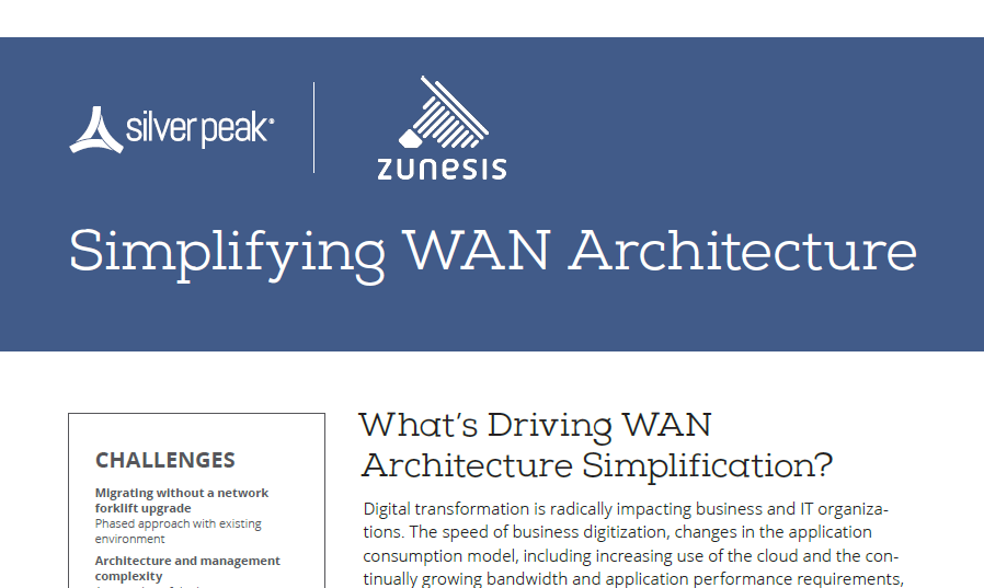 Simplifying WAN architecture