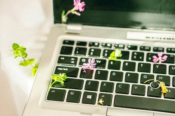 flowers blooming out of a laptop