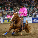 national western stock show
